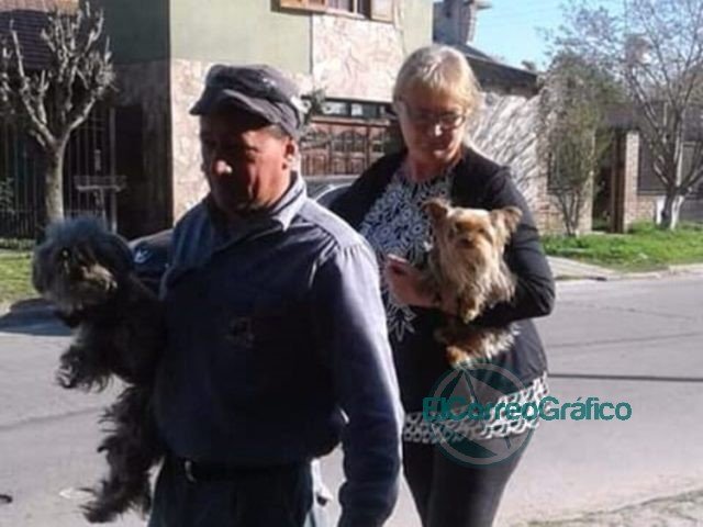Más de 350 vacunas antirrábicas se aplicaron en la zona de la Delegación II