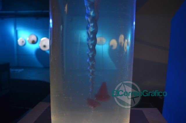 El agua, protagonista de una muestra que se luce con el aporte de la Facultad de Ingeniería El agua, protagonista de una muestra que se luce con el aporte de la Facultad de Ingeniería