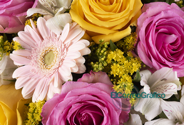 Las flores crean recuerdos que serán eternos
