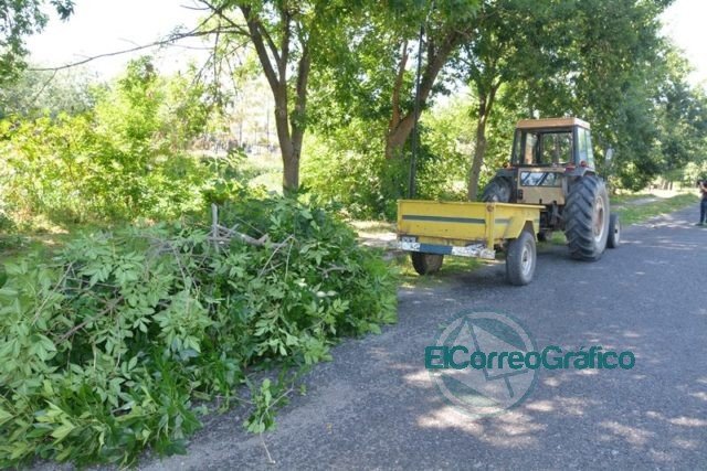 Erradicación de basurales en las Avenidas Génova y Río de Janeiro y Calle Nueva York