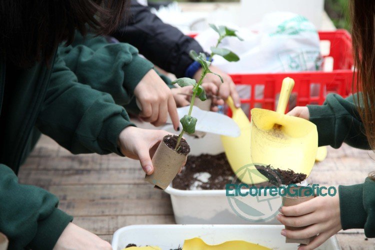 Brindarán talleres educativos en la Casa Ecológica de La Plata