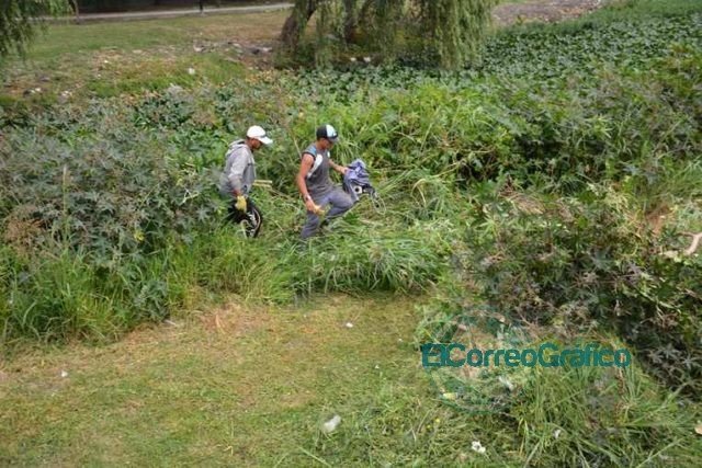 Limpieza y mejoras sobre la zona lindera al canal de Avenida Génova Limpieza y mejoras sobre la zona lindera al canal de Avenida Génova