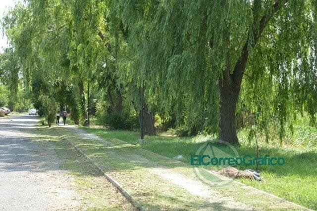 Limpieza y puesta en valor en la calle Carlos Gardel Limpieza y puesta en valor en la calle Carlos Gardel