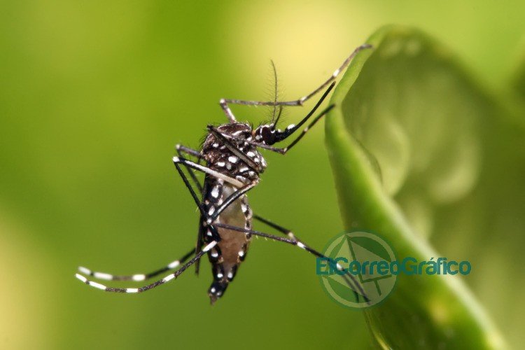 Informe epidemiológico del día sábado 21 de marzo