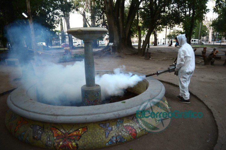 Dengue, Zika y Chikungunya: En La Plata continúa con el cronograma de fumigación Dengue, Zika y Chikungunya: En La Plata continúa con el cronograma de fumigación