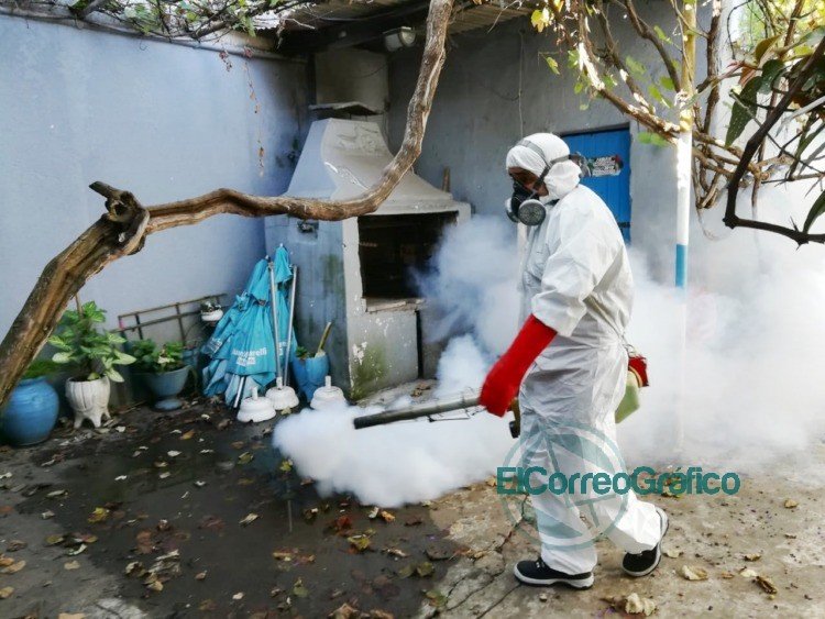 Continúan las tareas de fumigación en la ciudad