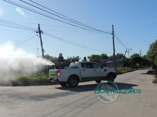 Junto a la Provincia, avanzan las tareas de fumigación