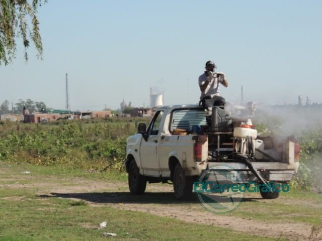 Junto a la Provincia, avanzan las tareas de fumigación