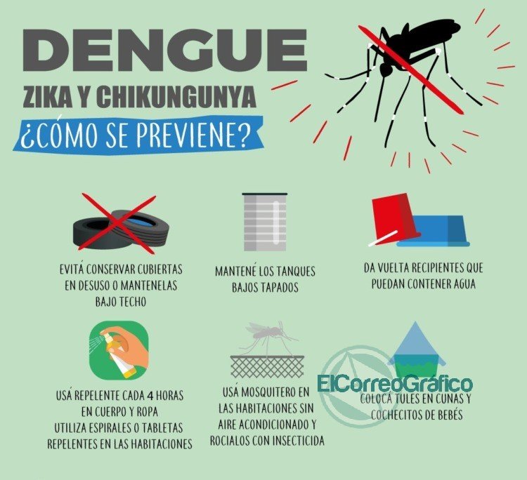 Para prevenir el Dengue, habilitaron a que los parqueros, jardineros y pileteros puedan trabajar