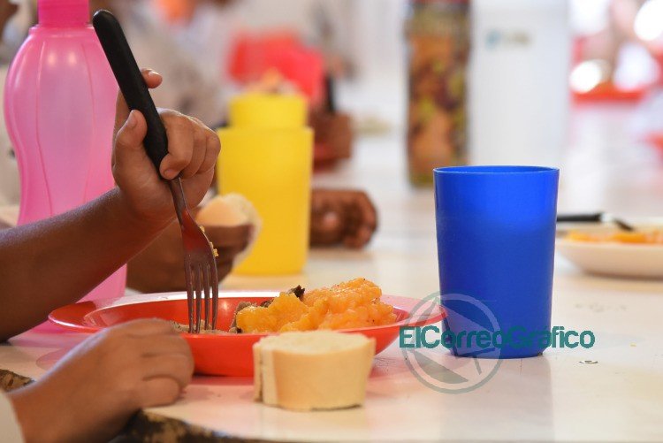 Ponen en marcha un plan de acción para garantizar la alimentación de los beneficiarios del SAE Ponen en marcha un plan de acción para garantizar la alimentación de los beneficiarios del SAE