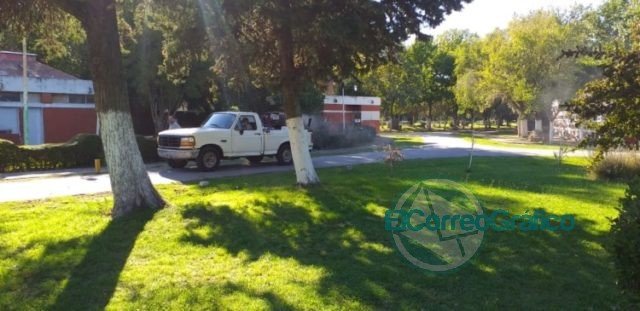 Se refuerzan las acciones de fumigación en Berisso