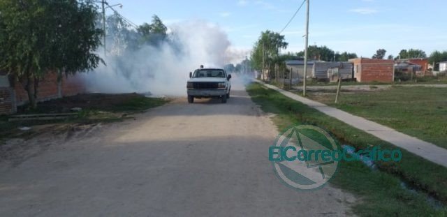 Siguen las tareas de fumigación en Berisso