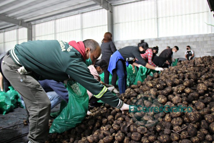 30 mil kilos de papas donadas para comedores de Ensenada