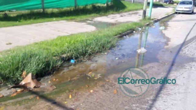 Presunto caso de dengue en Ensenada desnuda la falta de prevención del municipio Presunto caso de dengue en Ensenada desnuda la falta de prevención del municipio