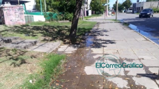 Presunto caso de dengue en Ensenada desnuda la falta de prevención del municipio Presunto caso de dengue en Ensenada desnuda la falta de prevención del municipio