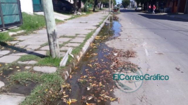 Presunto caso de dengue en Ensenada desnuda la falta de prevención del municipio Presunto caso de dengue en Ensenada desnuda la falta de prevención del municipio