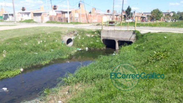 Presunto caso de dengue en Ensenada desnuda la falta de prevención del municipio Presunto caso de dengue en Ensenada desnuda la falta de prevención del municipio