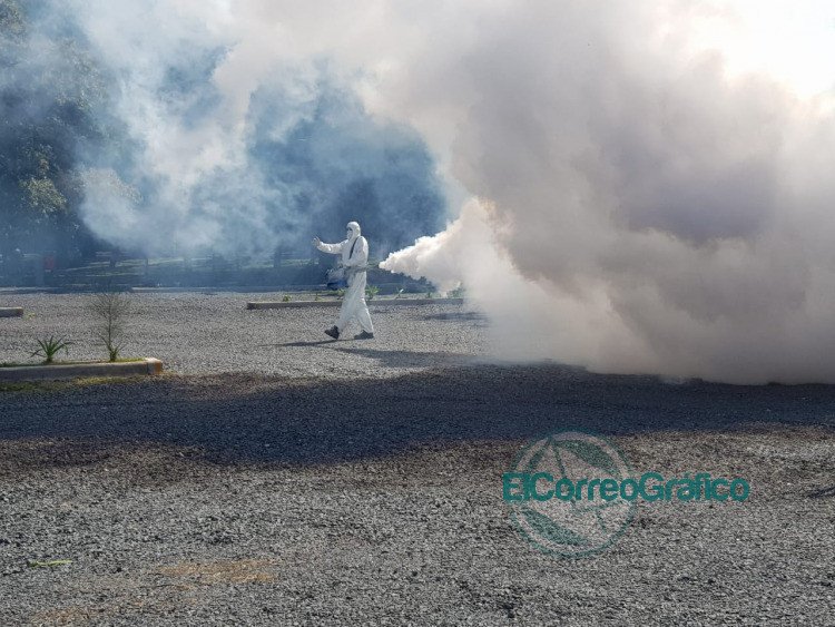 Continúan las tareas de fumigación contra el mosquito del dengue Continúan las tareas de fumigación contra el mosquito del dengue