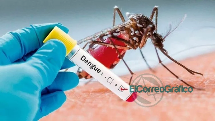 Más casos sospechosos de coronavirus y dengue en Berisso