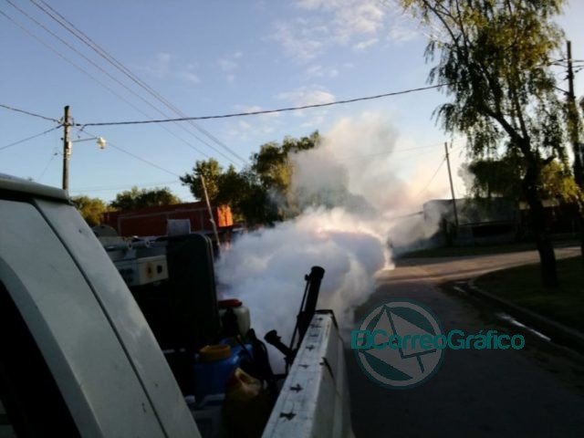 Fumigación preventiva realizada en Berisso