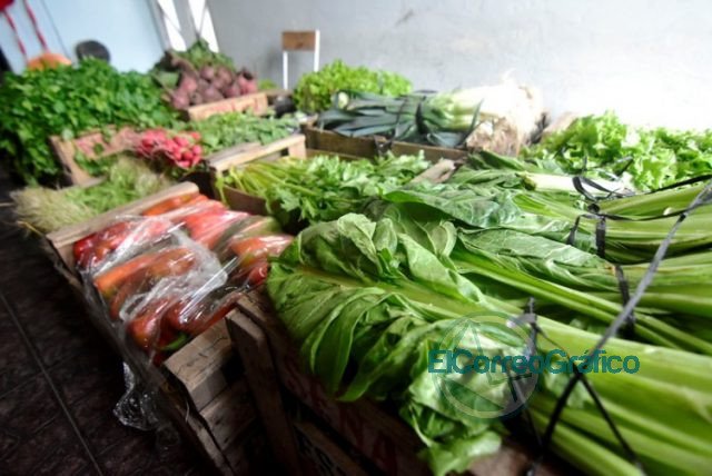 Productores y el Municipio de La Plata entregaron 26 mil kilos de alimentos a comedores y entidades sociales