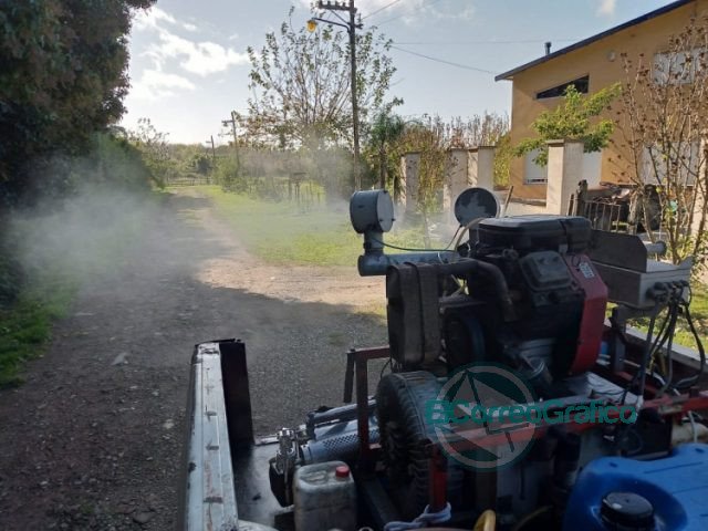 Fumigación preventiva contra el dengue Fumigación preventiva contra el dengue