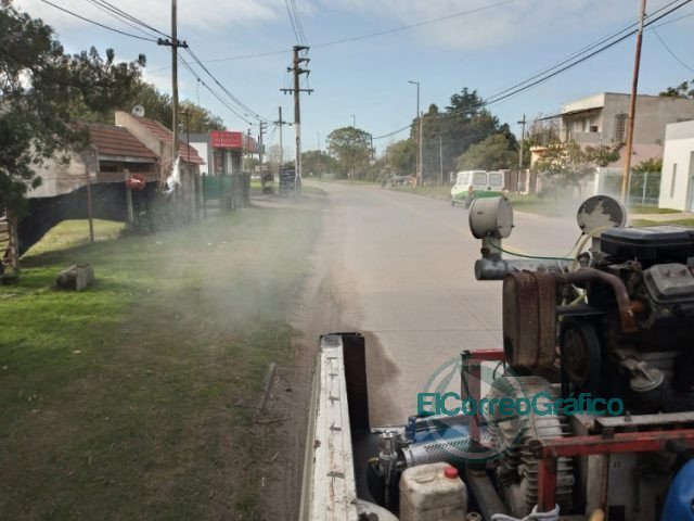 Fumigación preventiva contra el dengue Fumigación preventiva contra el dengue