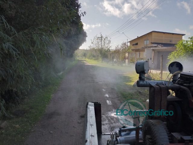 Fumigación preventiva contra el dengue Fumigación preventiva contra el dengue