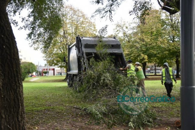 Temporada de poda: Hasta agosto, el Municipio desarrolla tareas en el arbolado público
