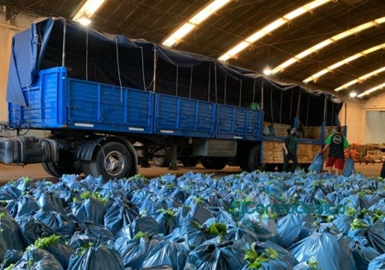 Junto a la UTT, Desarrollo bonaernese entregó verduras en Villa Azul