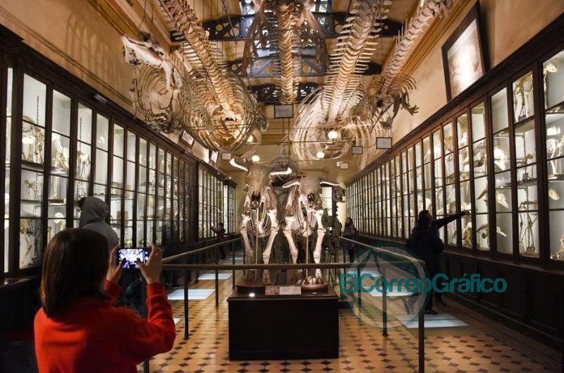 Museos bonaerenses celebran su día desde las redes sociales