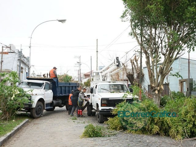 Poda de árboles en barrios de Berisso
