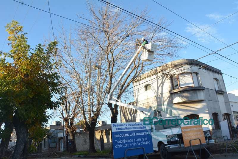 Detienen poda ilegal de una cooperativa que presta servicios tanto en La Plata como en Berisso Detienen poda ilegal de una cooperativa que presta servicios tanto en La Plata como en Berisso