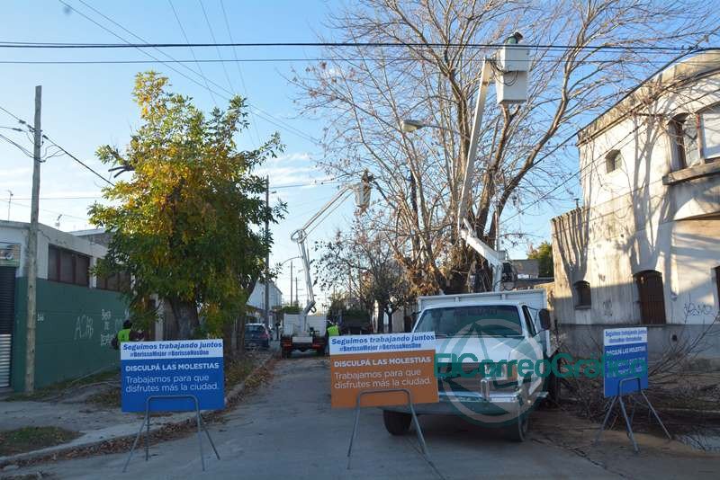 Detienen poda ilegal de una cooperativa que presta servicios tanto en La Plata como en Berisso Detienen poda ilegal de una cooperativa que presta servicios tanto en La Plata como en Berisso