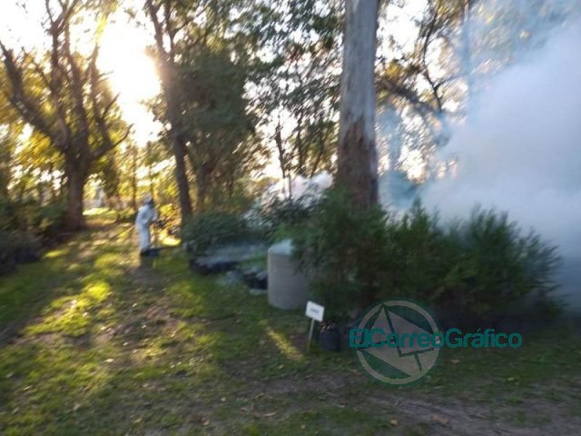 Más fumigación preventiva contra el dengue en Berisso