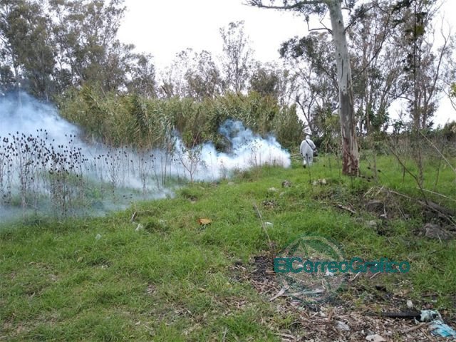 Desinfección y fumigación preventiva llevada adelante en Berisso
