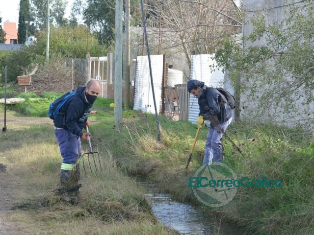 Limpieza y mantenimiento en la zona de Los Talas Limpieza y mantenimiento en la zona de Los Talas