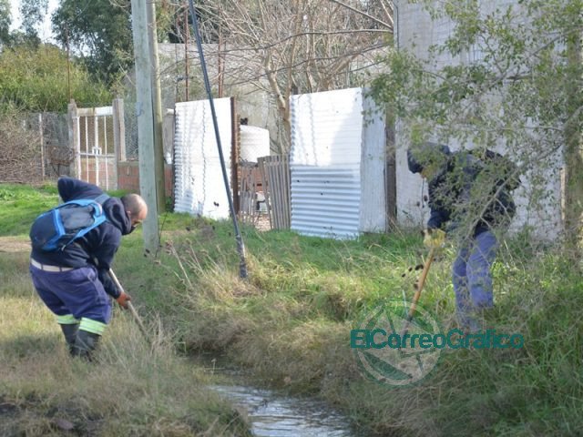 Limpieza y mantenimiento en la zona de Los Talas Limpieza y mantenimiento en la zona de Los Talas