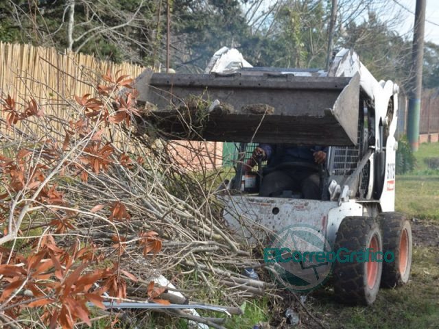 Limpieza y mantenimiento en la zona de Los Talas Limpieza y mantenimiento en la zona de Los Talas