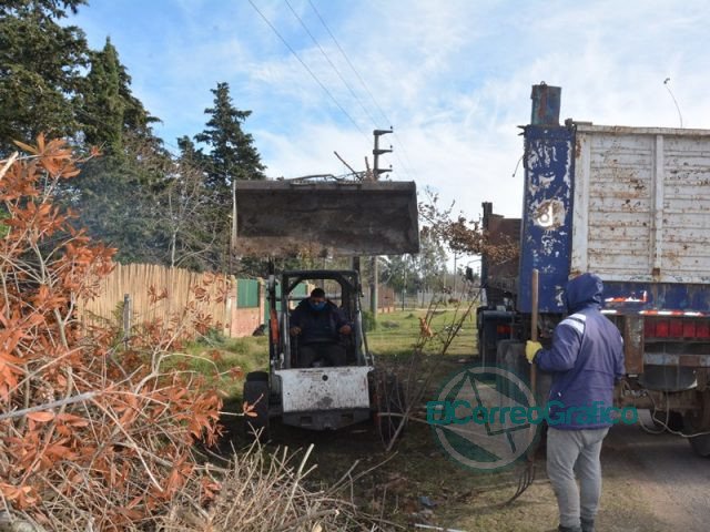 Limpieza y mantenimiento en la zona de Los Talas Limpieza y mantenimiento en la zona de Los Talas