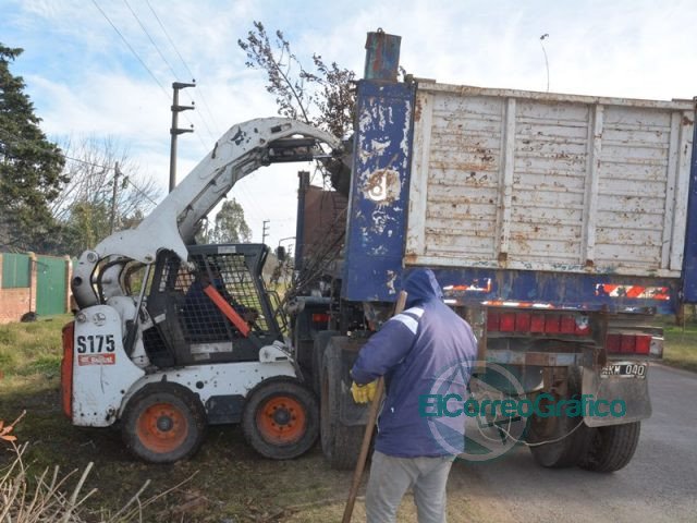 Limpieza y mantenimiento en la zona de Los Talas Limpieza y mantenimiento en la zona de Los Talas