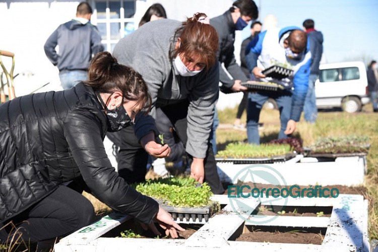 Avanza la instalación de huertas comunitarias en comedores sociales y barrios platenses Avanza la instalación de huertas comunitarias en comedores sociales y barrios platenses