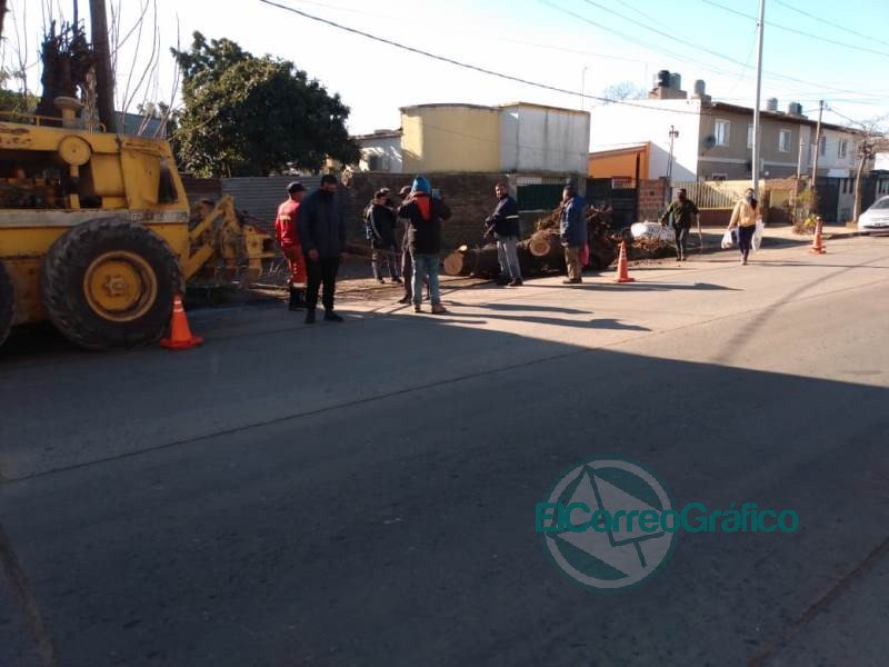 Extracción de un árbol en Avenida 122 por obstrucción de caños de agua y de cloacas