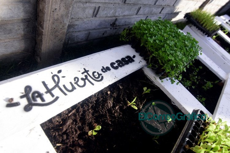 Garro participó de la instalación de una huerta comunitaria en un comedor de City Bell