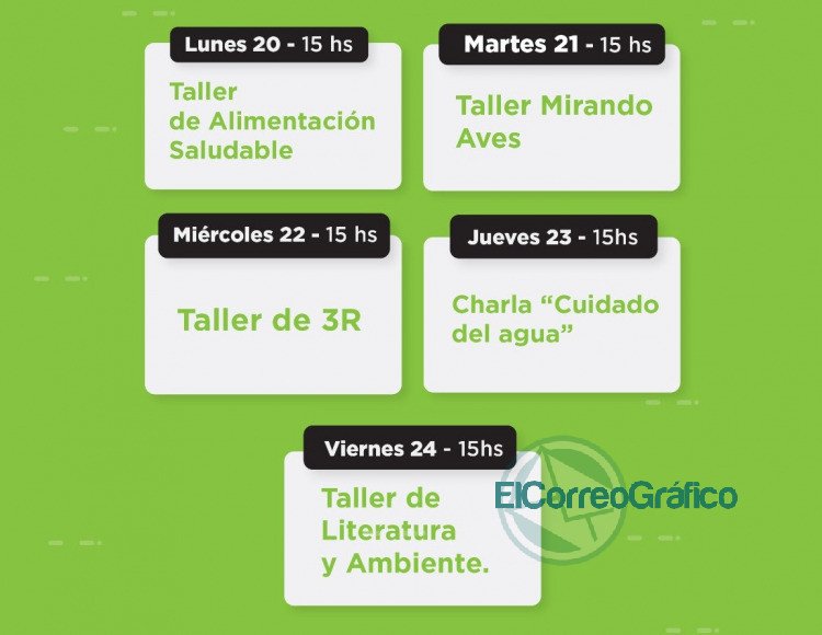 La Casa Ecológica presenta “Aventuras en el bosque 2020”, una propuesta virtual para toda la familia
