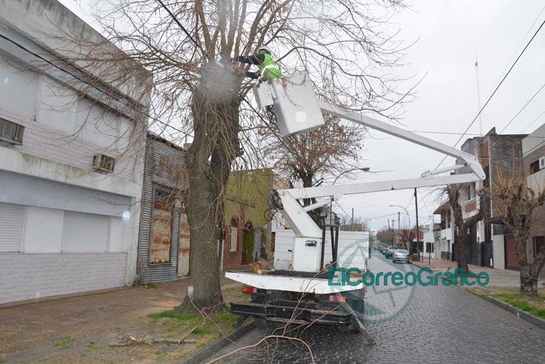 Más poda en distintos barrios Más poda en distintos barrios