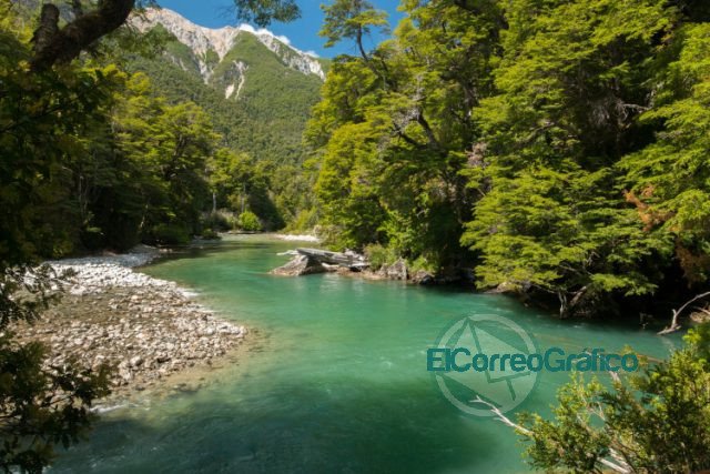 Los Alerces: Un paraíso natural reconocido hace tres como Patrimonio Mundial de UNESCO