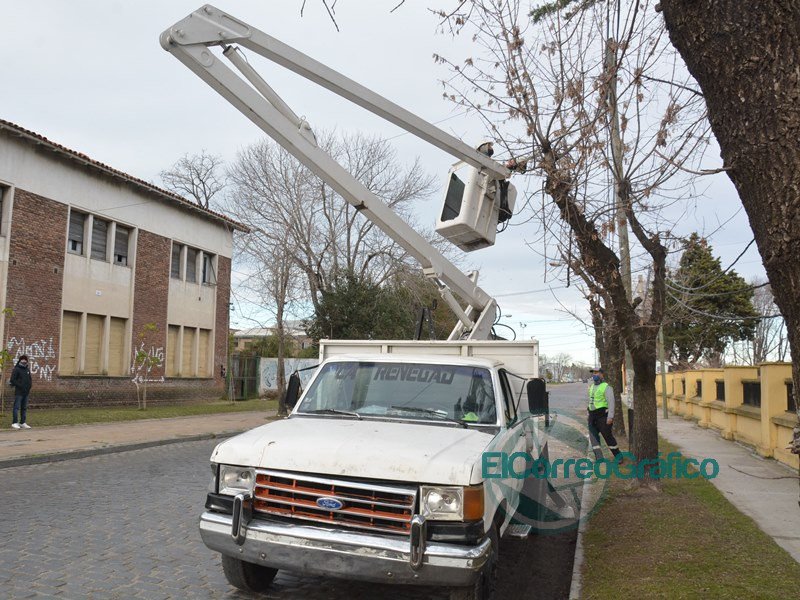 Detienen poda ilegal de una cooperativa que presta servicios tanto en La Plata como en Berisso Detienen poda ilegal de una cooperativa que presta servicios tanto en La Plata como en Berisso