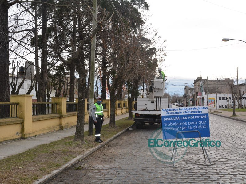 Detienen poda ilegal de una cooperativa que presta servicios tanto en La Plata como en Berisso Detienen poda ilegal de una cooperativa que presta servicios tanto en La Plata como en Berisso