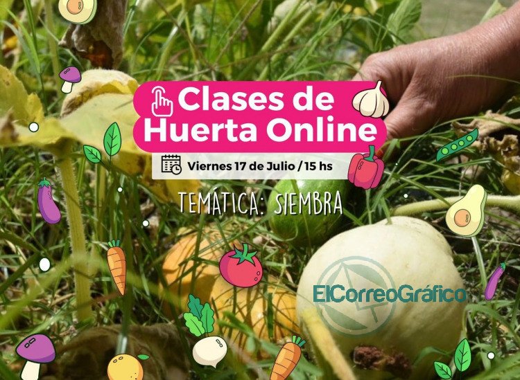 Promueven diversos talleres y cursos virtuales gratuitos desde el Parque Ecológico